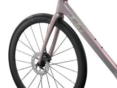 Langma Advanced SL 1 사진 8