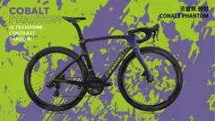 Dogma F 프레임셋 사진 7