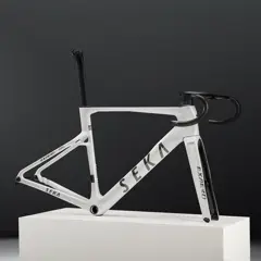 ExAero RDC 프레임셋 사진 2
