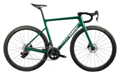 Radical-M V (D1) CXT-R40 사진 1