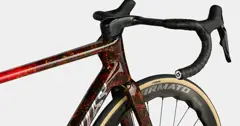 Radical-Pro XP 2 A DT ERC1100 Special Color 사진 6